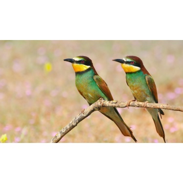 Preču sadaļa - 7.3